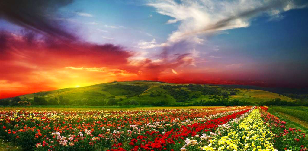 上帝不小心打翻了顏料，便有了這些絕美的仙境