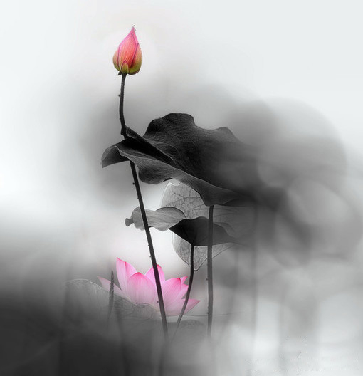 被美國總統(tǒng)引用過的中國風