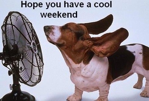 如何用英語談?wù)撝苣? style=