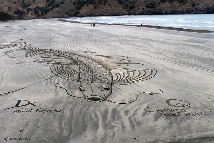 沙灘上的3D藝術(shù)沙畫(huà)