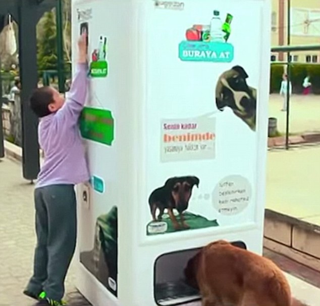 盤點全球另類自動販售機