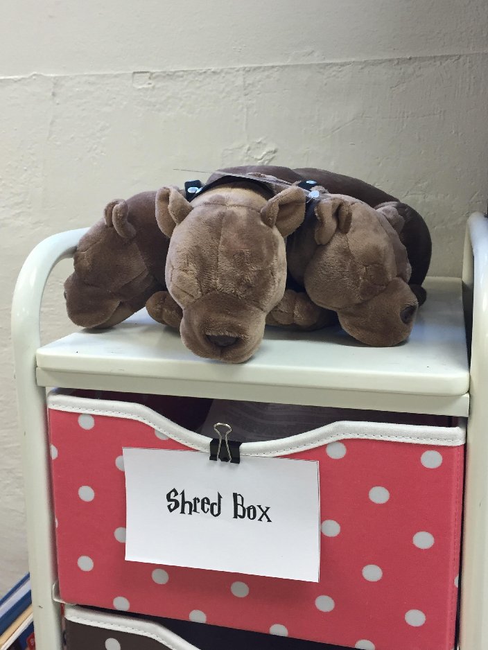 別人家的老師:為學(xué)生打造哈利波特主題教室