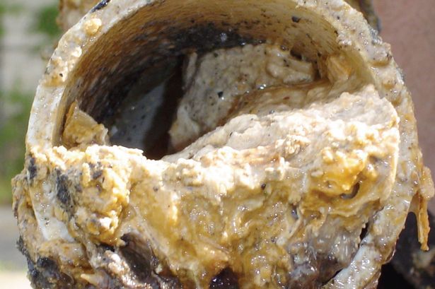 牛津在線詞典新增千條俚語 manspreading、Grexit等入選