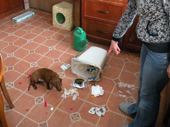 英文如何表達(dá)各種無奈？