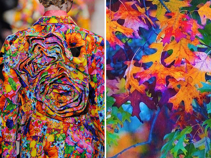 美哉！把風(fēng)景穿在身上