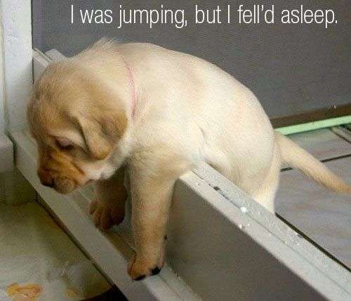 秋天也是“打盹兒”的季節(jié)？