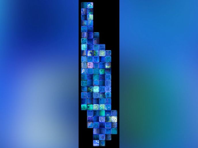 科學家的另類藝術(shù):細菌作畫