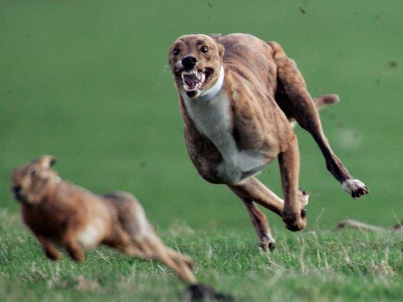 墜落、飛翔、赤身裸體、找不到廁所······心理學(xué)家解析九大常見夢境