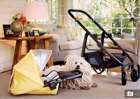 臉書男員工將有四個月陪產假