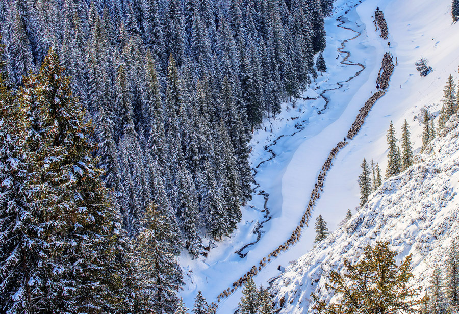 中國日報11月影像回眸:你不能對周圍世界熟視無睹