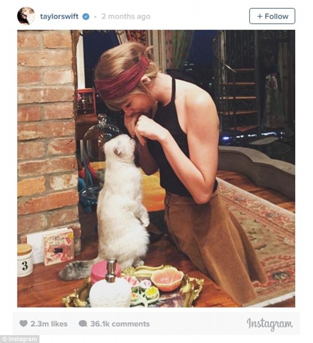 肯達爾曬“心形卷發(fā)”獲2015年Ins最愛