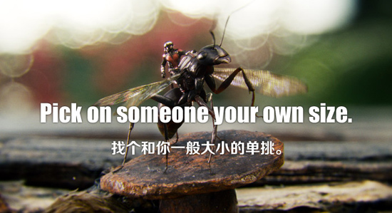 2015年哪句電影臺詞戳中了你的心？