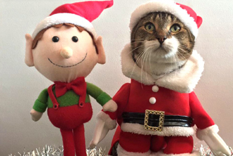 2015圣誕節(jié)專題：圣誕老人來(lái)了！