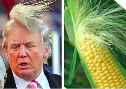 2015國外“互聯(lián)網(wǎng)之最”盤點(diǎn)