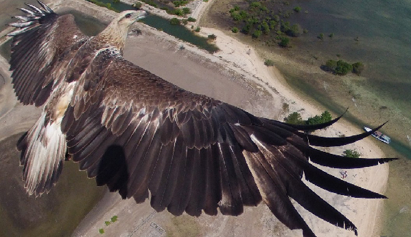 顛覆傳統(tǒng)“視界觀”的“無人機(jī)航拍”