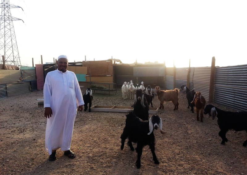 異域風(fēng)情:神秘的沙特阿拉伯世界(組圖)