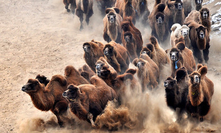 神吐槽:17種奇葩的乘機(jī)行為