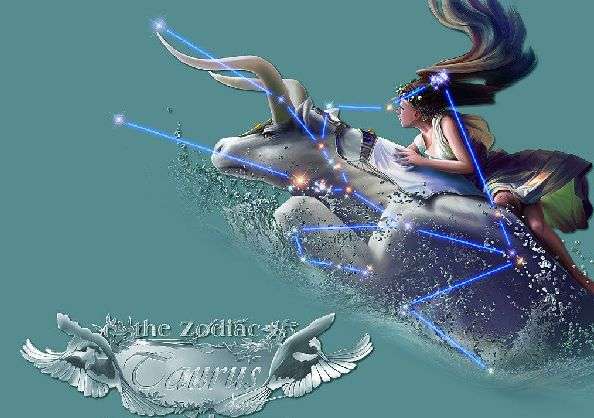 如何用英語(yǔ)談?wù)撟约旱男亲? style=