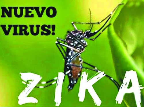 一周熱詞回顧(1.23-1.29)