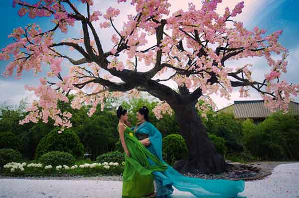 還沒聽說過“IP”？你out了！