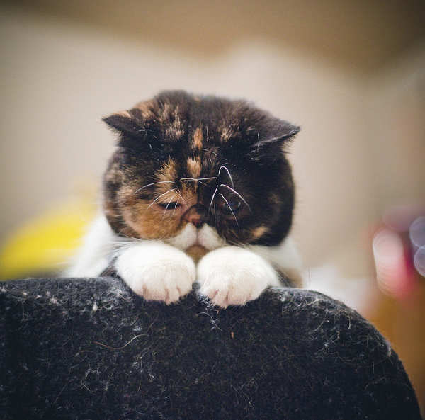 有了這個表，情緒表達(dá)不再難