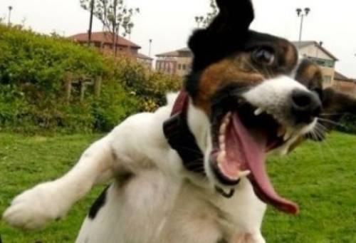 有了這個表，情緒表達(dá)不再難