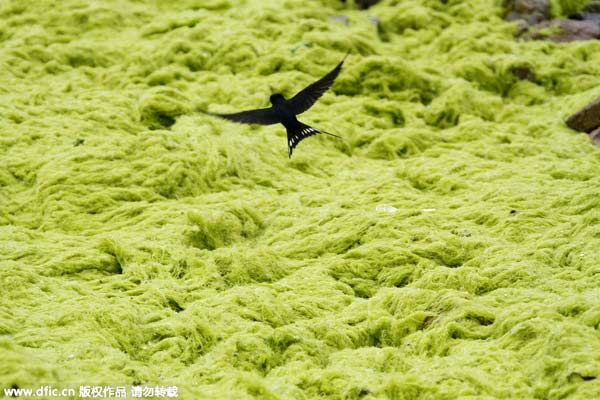 “立春”九大風(fēng)俗 雞蛋為啥能立起來？