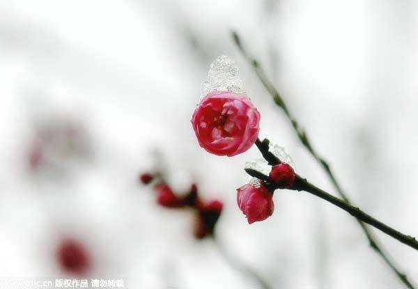 “立春”九大風俗 雞蛋為啥能立起來？