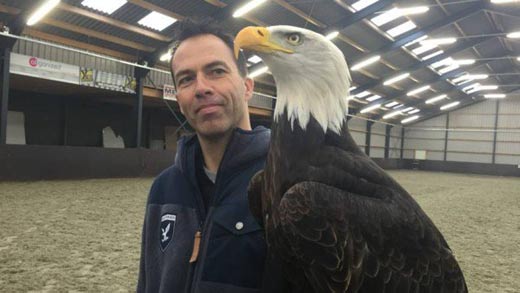 荷蘭警方:老鷹大戰(zhàn)無人機