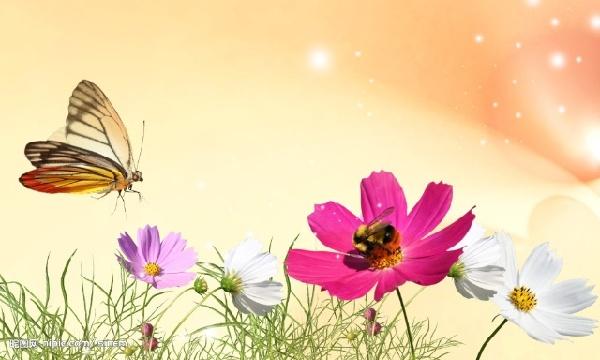 春天，一起來讀詩，雙語的！