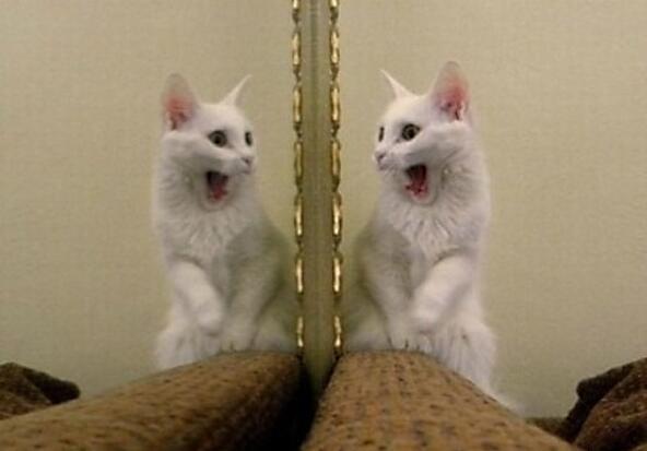 12個(gè)押韻的英文短語