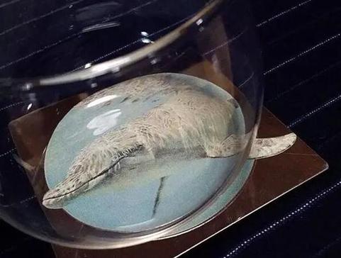 像最強(qiáng)大腦“水哥”這樣的神級人物，要用怎樣的英文詞來形容