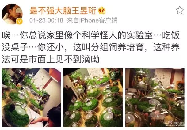 像最強(qiáng)大腦“水哥”這樣的神級人物，要用怎樣的英文詞來形容