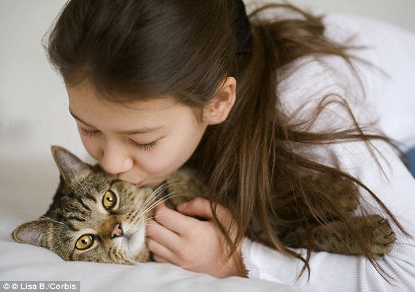 養(yǎng)貓或引發(fā)心理健康問(wèn)題