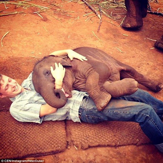 泰國(guó)小象賣(mài)萌 見(jiàn)人就給“愛(ài)的抱抱”