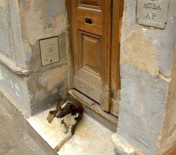 沒人告訴你旅游地風(fēng)光背后的這些臟亂差