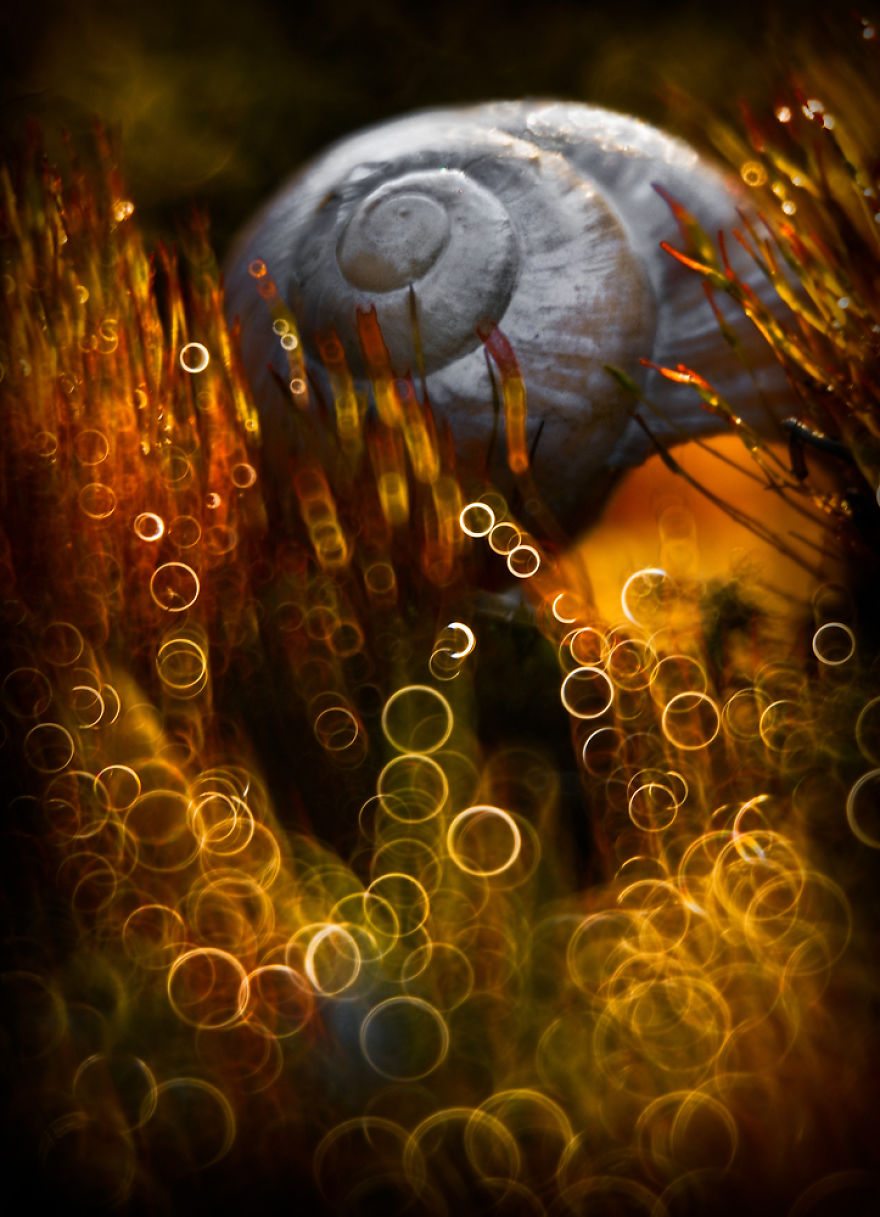 夢幻之美：把大自然拍成仙境（組圖）