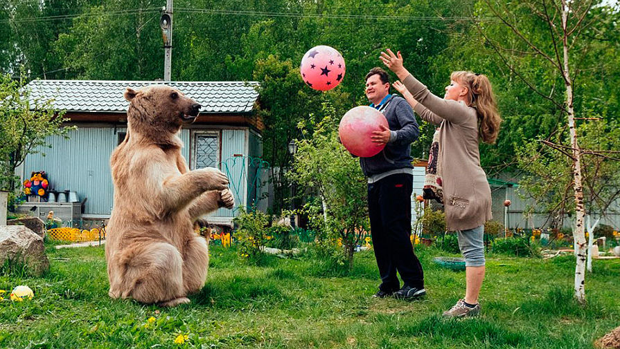 俄夫婦和大棕熊共同生活20余載 其樂融融畫面溫馨（組圖）