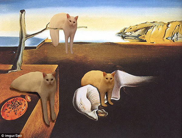 喵星人奇異姿勢被玩壞 網(wǎng)友瘋狂PS(組圖)