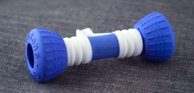 不忍心把寵物狗丟在家中？機(jī)器骨頭有妙用