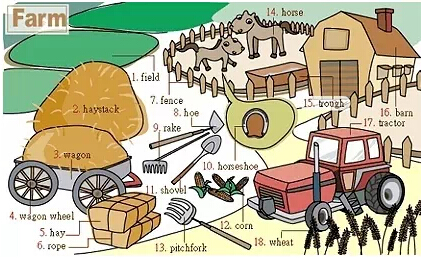 史上最全英語(yǔ)詞匯圖（1）