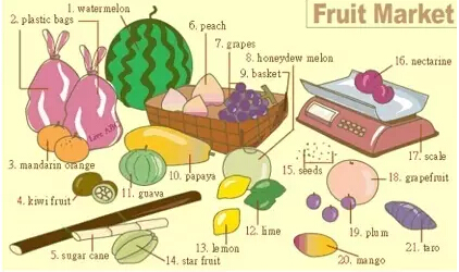 史上最全英語(yǔ)詞匯圖(2)