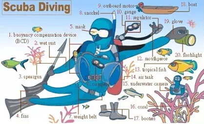 史上最全英語(yǔ)詞匯圖(2)