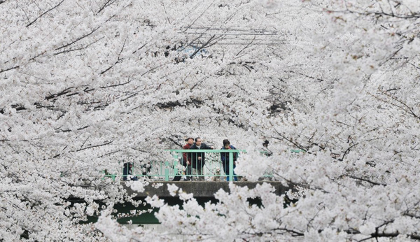 數(shù)字游牧民看過來:最適合你工作生活的十個城市