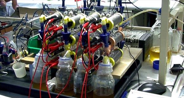 “尿液電池”問(wèn)世:一泡尿可充手機(jī)3小時(shí)