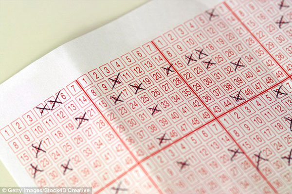 研究：購物帶女性 決策更合理