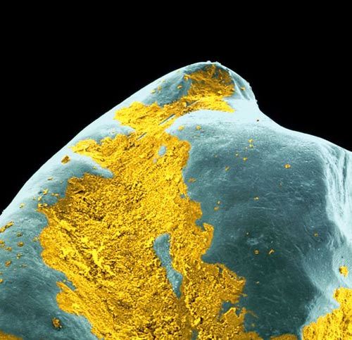 一天應(yīng)該刷幾次牙？專家教你怎樣刷牙才對牙齒最好