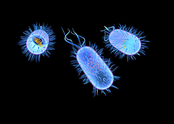 一周熱詞榜(8.20-26)