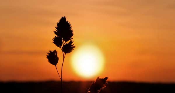 人死的時候身體會發(fā)生什么變化呢？