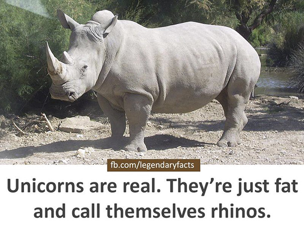 九個令人發(fā)笑又發(fā)人深省的事實（組圖）